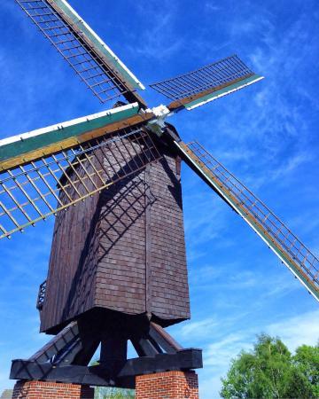 Bockwindmühle